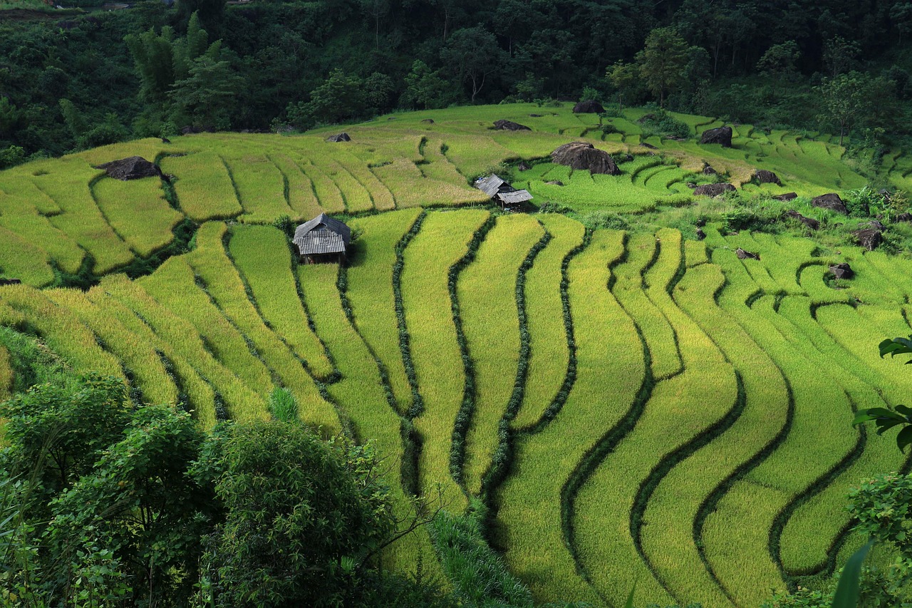 Canggu